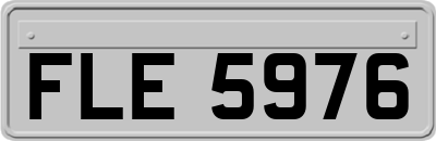 FLE5976