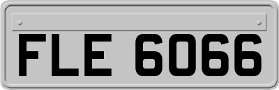 FLE6066