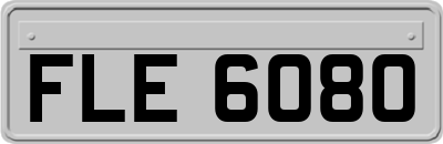 FLE6080