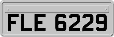 FLE6229
