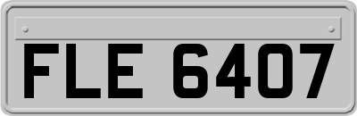 FLE6407