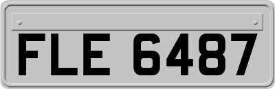 FLE6487