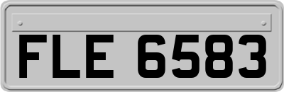 FLE6583