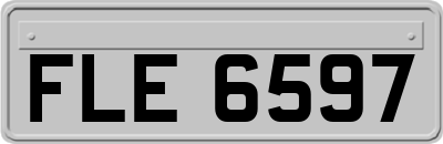 FLE6597