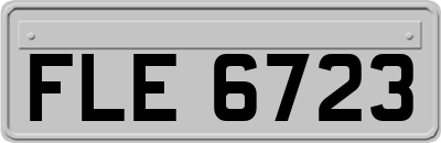 FLE6723