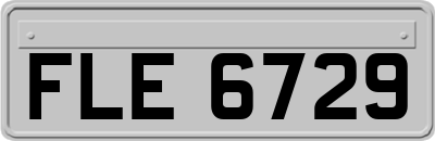 FLE6729