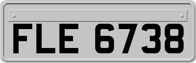 FLE6738