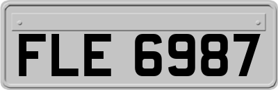 FLE6987