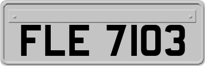 FLE7103