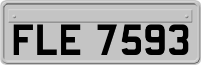 FLE7593