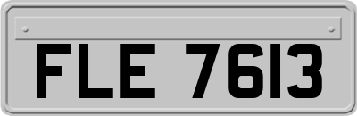 FLE7613