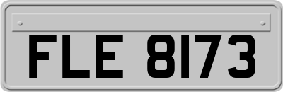 FLE8173