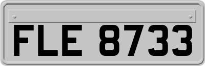 FLE8733