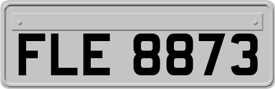 FLE8873