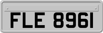 FLE8961