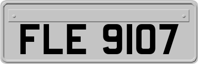 FLE9107