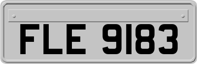 FLE9183