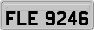 FLE9246