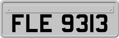 FLE9313