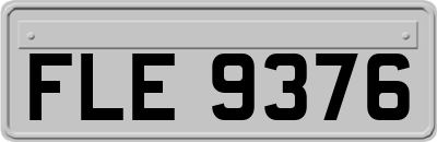 FLE9376