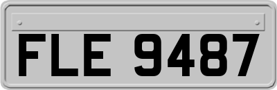 FLE9487