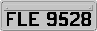 FLE9528