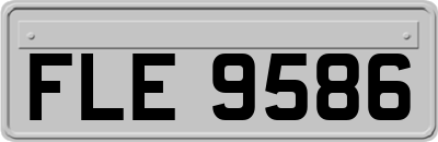 FLE9586