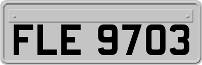 FLE9703