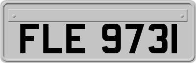FLE9731