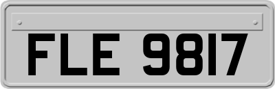 FLE9817