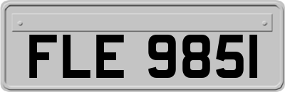 FLE9851