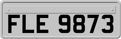 FLE9873