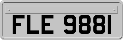FLE9881