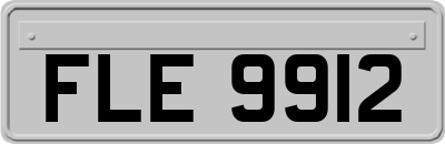 FLE9912