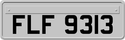 FLF9313