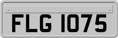 FLG1075