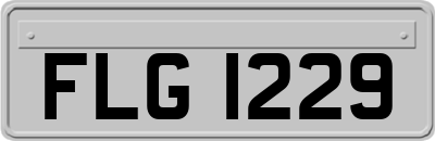 FLG1229