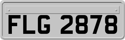 FLG2878
