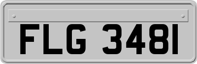 FLG3481