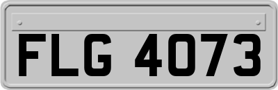 FLG4073