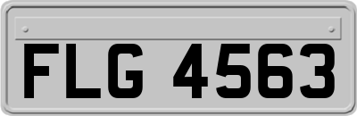 FLG4563