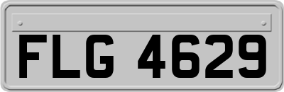 FLG4629