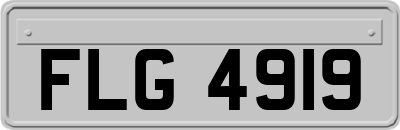 FLG4919