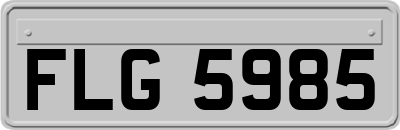 FLG5985