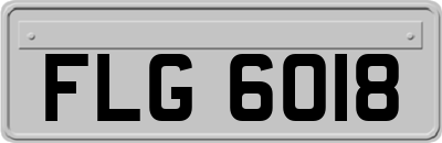 FLG6018