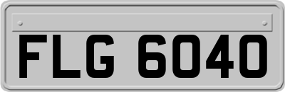 FLG6040