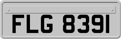 FLG8391
