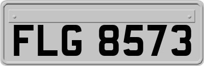 FLG8573