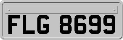 FLG8699