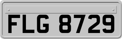 FLG8729